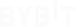 bybt
